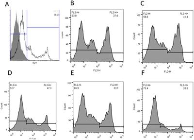 Improvement of post-thaw quality and fertilizing ability of bull spermatozoa using Rho kinase inhibitor in freezing extender